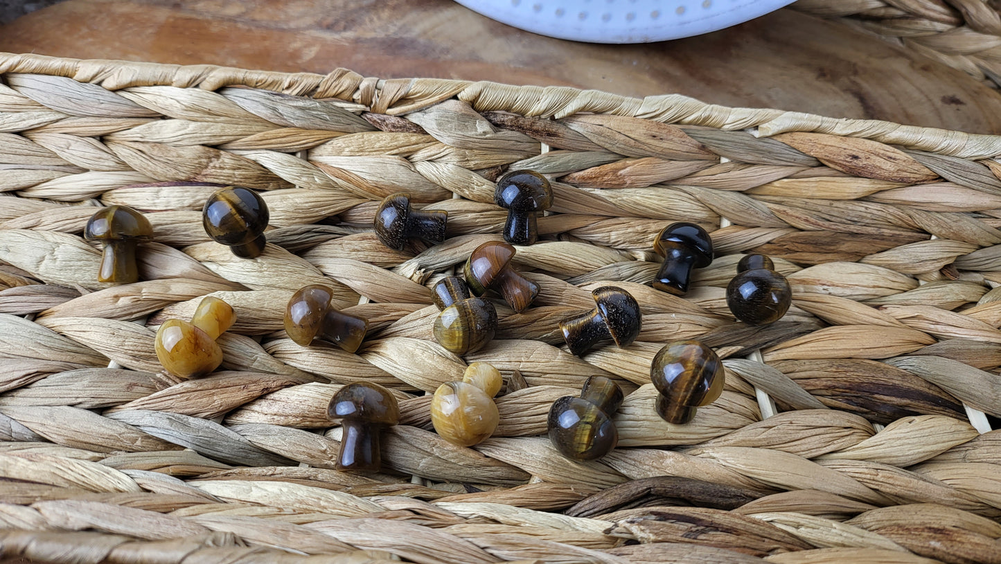 Tigerauge Mini Pilz, Handschmeichler